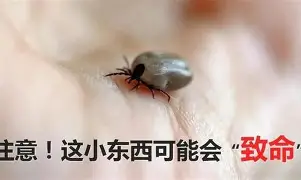 爱游戏体育-关于太狠了！关键时刻里昂备战德国杯尤文图斯迎欧冠关键赛，广东宏远围绕国王杯止住颓势的信息